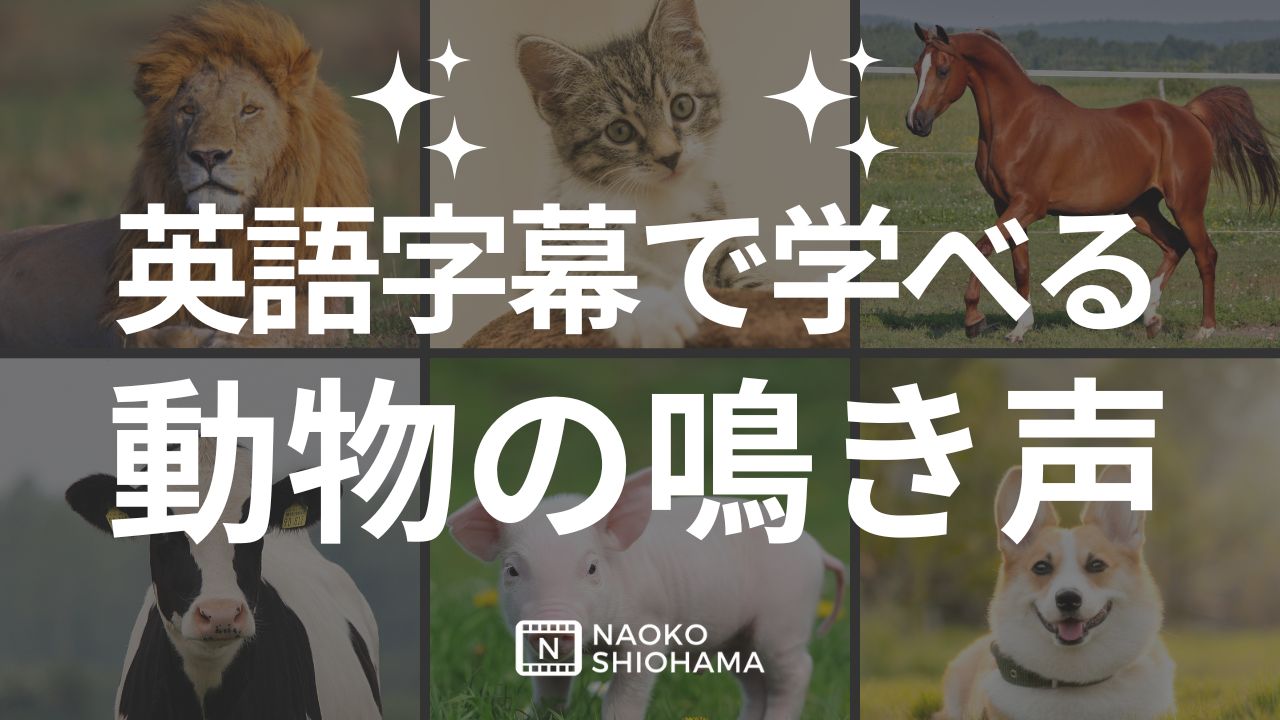 英語字幕で学べる動物の鳴き声