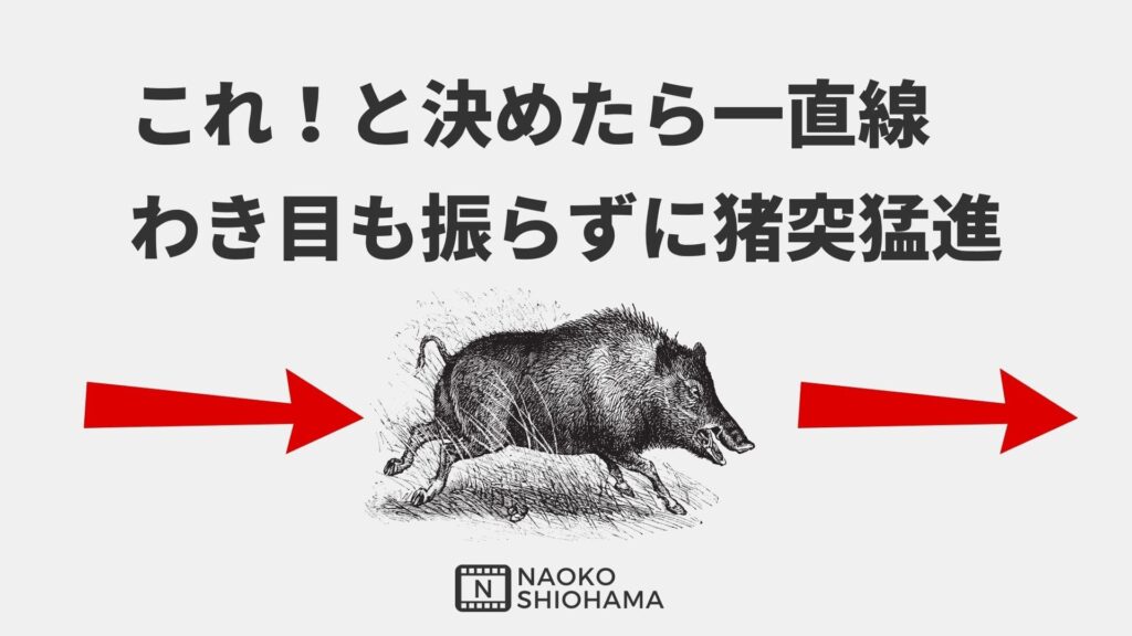 猪突猛進
