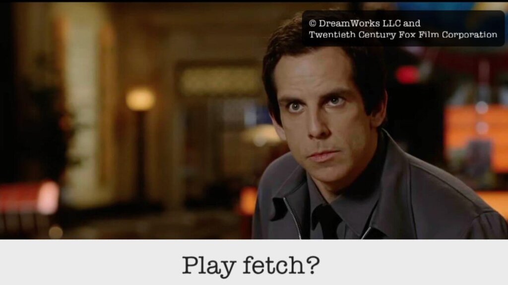 play fetch